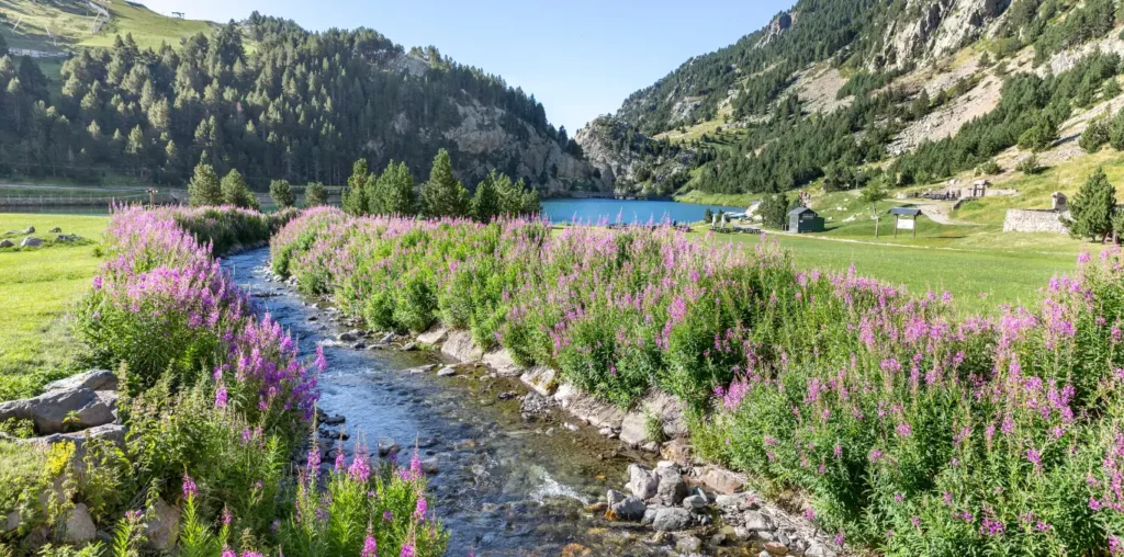 Escapada Perfecta: Descubre el Valle de Núria nm