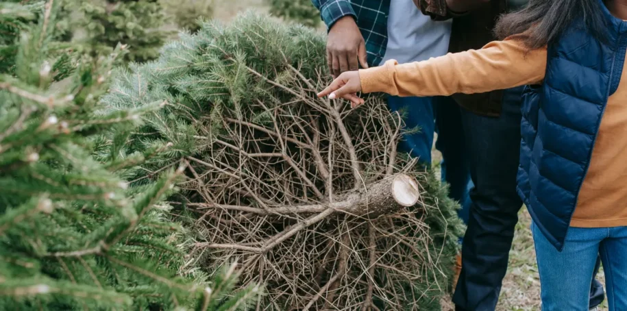 La Feria del Abeto de Espinelves: El mercado navideño más auténtico de Cataluña